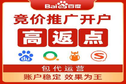 竞价推广策略解析：实战案例分析